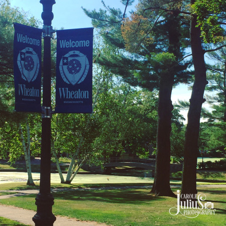welcome to wheaton for carole knits