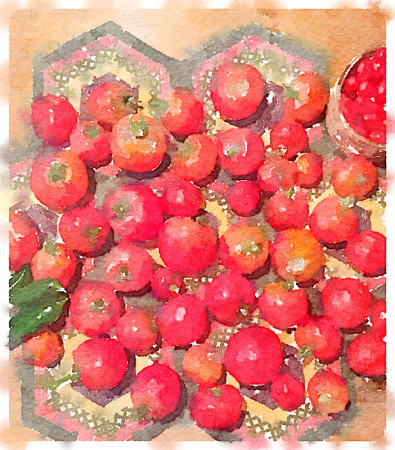 watercolor tomatoes for carole knits