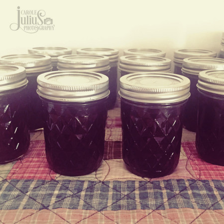 grape-jam-for-carole-knits