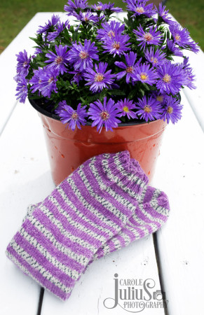 purple-rain-socks-with-asters-for-carole-knits