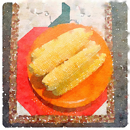 local-corn-watercolor-for-carole-knits