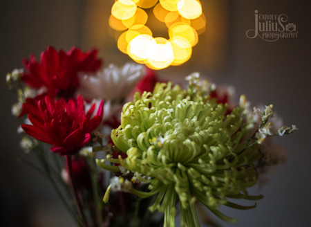 flowers-with-bokeh-lights-for-carole-knits