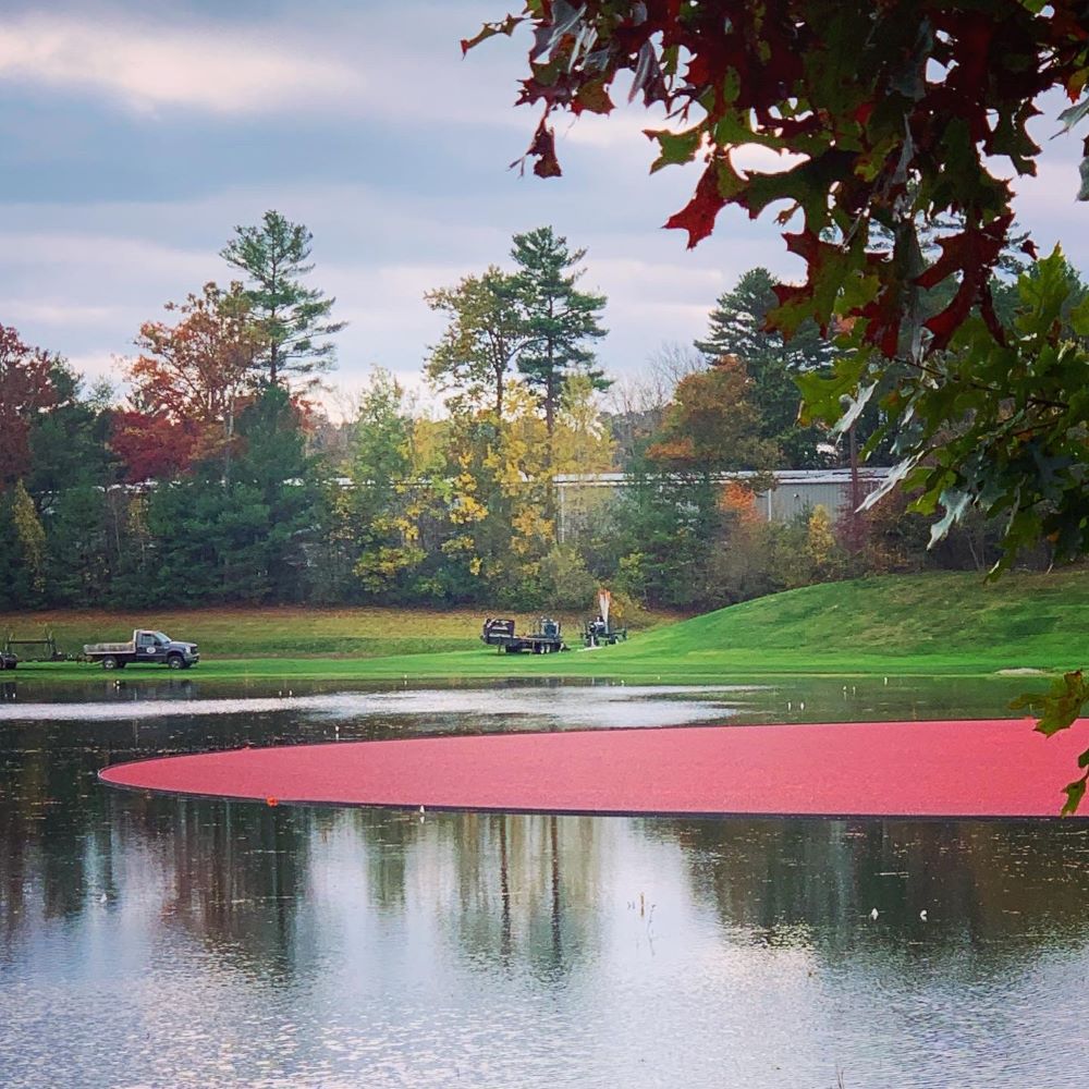 Late September