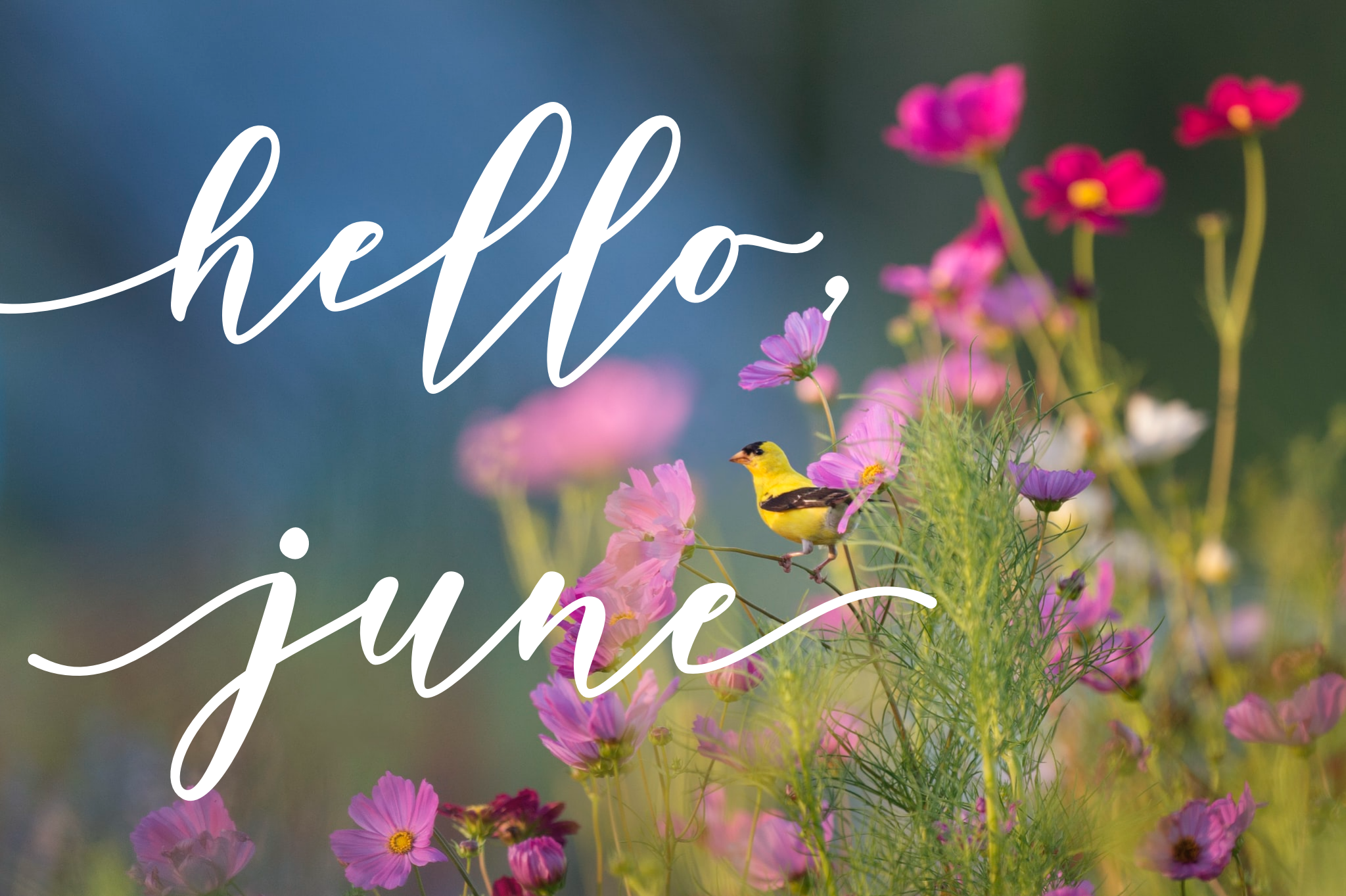 Happy Images Of June