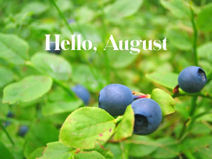 Hello, August 2023