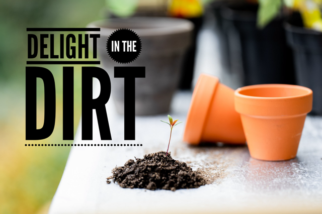 Delight in the Dirt, July Progress