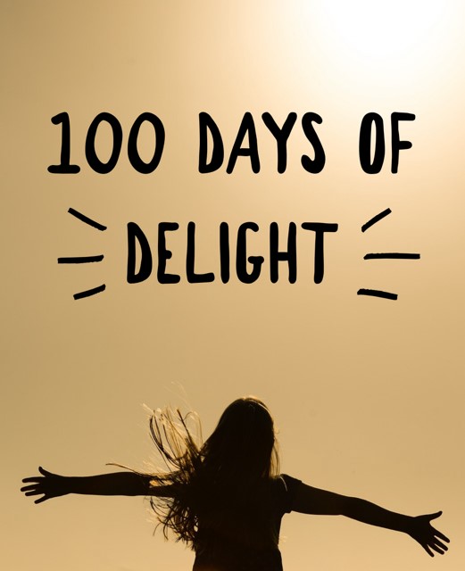 100 Days of Delight