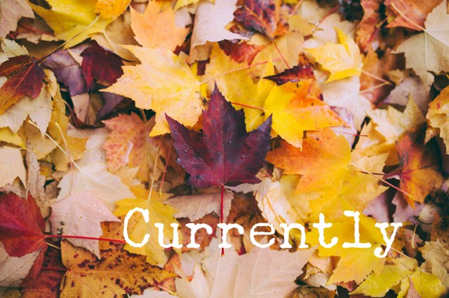 Currently, November 2024