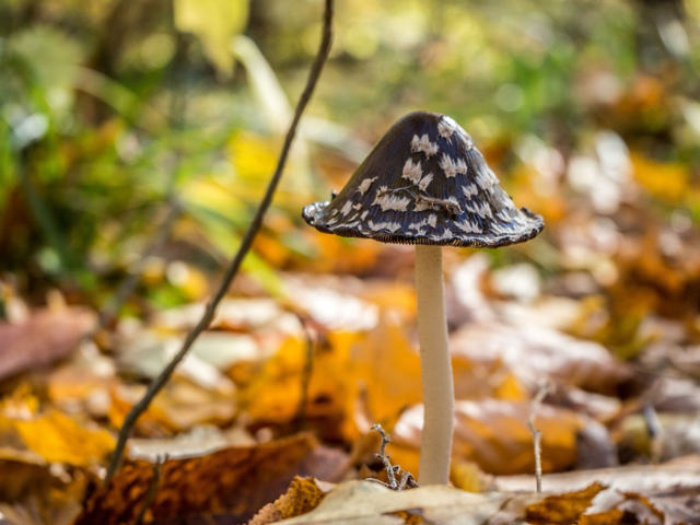 Feeling November-ish