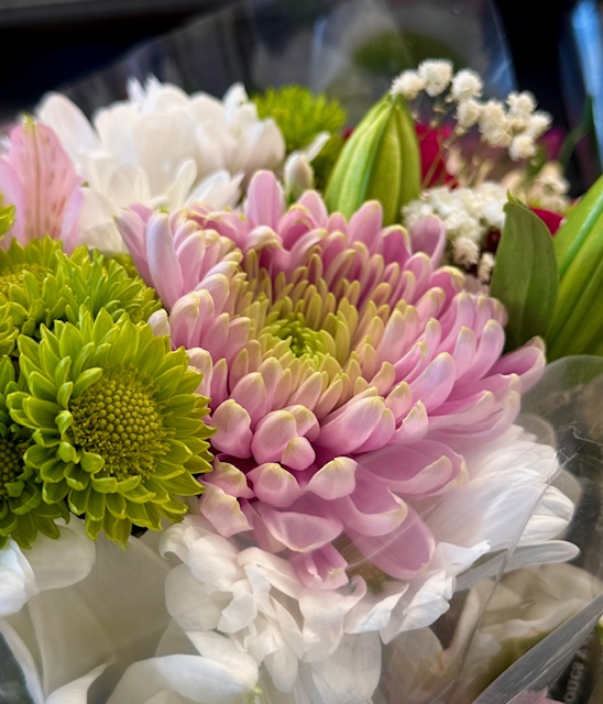 target flowers – Carole Knits