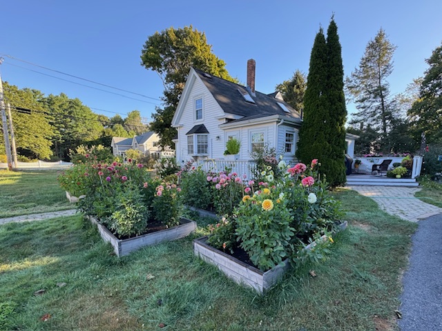 Dahlia Gardens