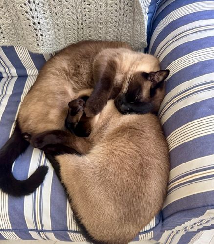 Weekending, March 6th-8th, 2026