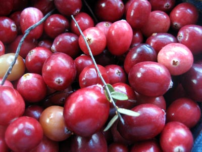 cranberries_07.jpg