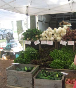 farmers_market_onions.jpg