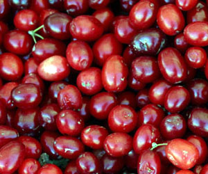 cranberries.jpg