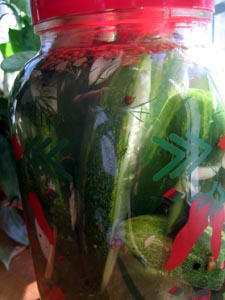 pickles1.jpg